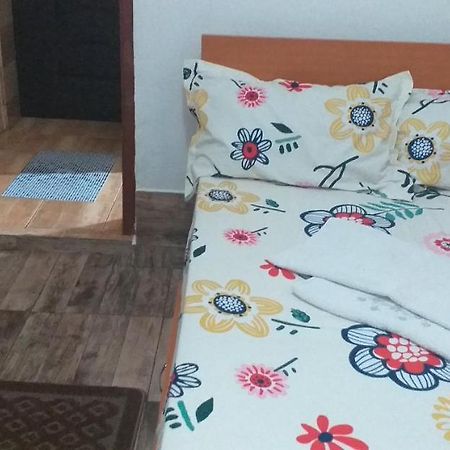 Garsoniera Apartman Bodzavásár Kültér fotó