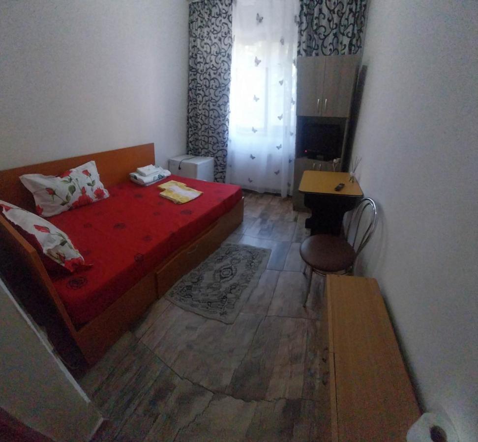 Garsoniera Apartman Bodzavásár Kültér fotó